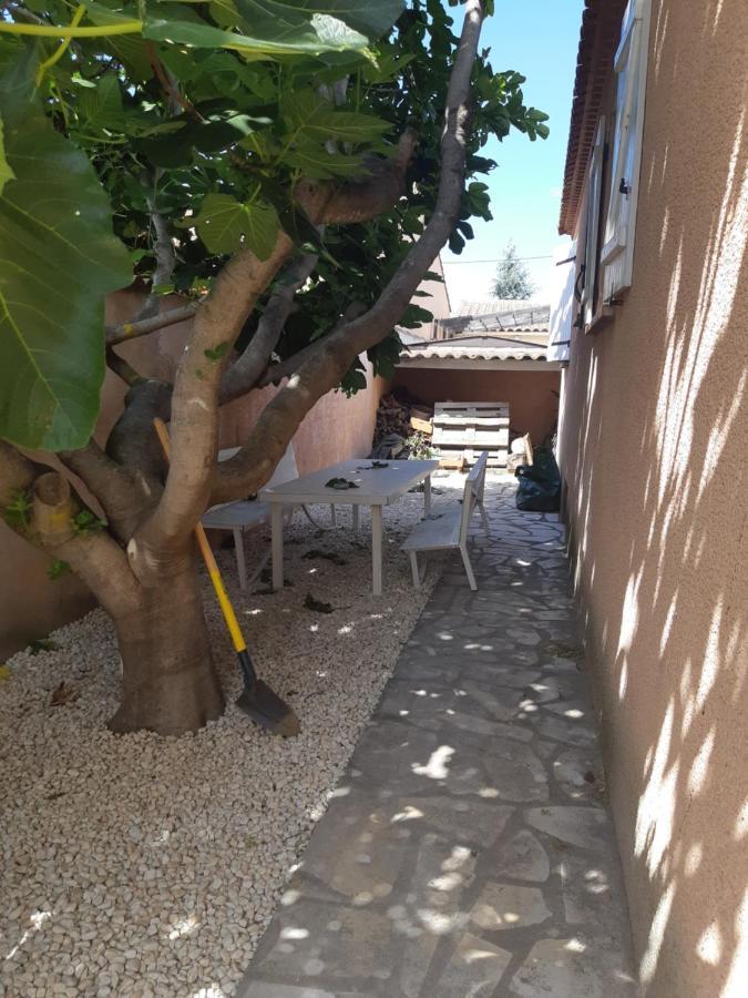 Le Clos D'Amandine Daire Sallèles-dʼAude Dış mekan fotoğraf